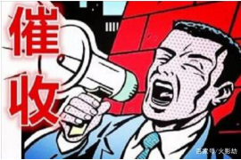 呼兰为什么选择专业追讨公司来处理您的债务纠纷？